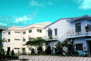 DNM sẽ phát hành cổ phiếu thưởng tỷ lệ 5:1 và trả cổ tức 20:1