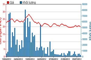 Diễn biến giá cổ phiếu BBC trong 3 tháng qua. Nguồn: HOSE