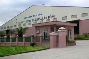 Tập đoàn Thái Hòa nợ ngân hàng trên nghìn tỷ