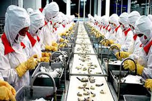 DN thủy sản: hiệu quả kinh doanh đồng loạt giảm mạnh