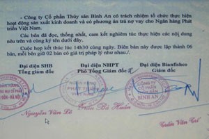 Ngân hàng của bầu Hiển “giải cứu” Công ty Bình An