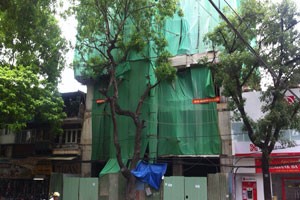 Nhà sai phép ở thủ đô ì ạch “cắt ngọn”