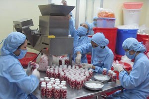 Doanh nghiệp dược, thiết bị y tế vẫn sống khỏe trong suy thoái