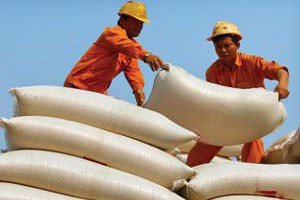 Có ý kiến cho rằng, VNF1 cần tăng tỷ trọng với ngành, nghề kinh doanh chính