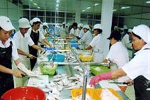 Làm rõ sai phạm tại Tổng công ty thủy sản Việt Nam