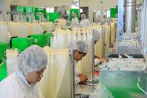 Mediplast bị phạt 50 triệu đồng