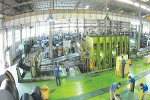 BRC: Tập đoàn Cao su nâng tỷ lệ nắm giữ lên gần 17%