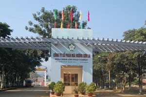 Mía đường Sơn La chính thức chào sàn HNX