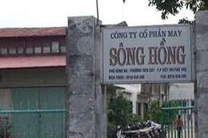 May Sông Hồng phát hành 540.000 trái phiếu chuyển đổi