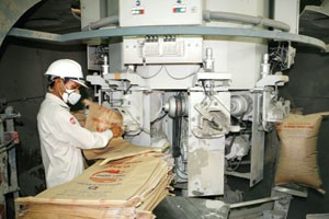 Xi măng Thăng Long lột xác sau “đại phẫu”