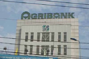 Truy tố 5 cựu cán bộ Agribank Cẩm Phả