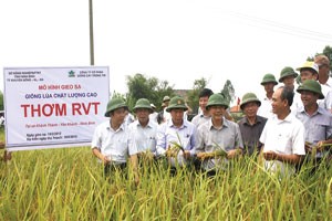 NSC lấy tư duy công nghiệp làm nông nghiệp