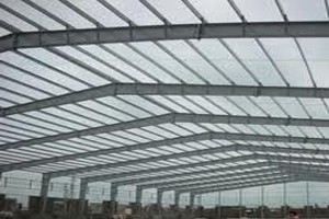 BVG: chi phí lãi vay lớn hơn cả lợi nhuận gộp