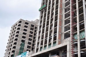 Tái hiện lại hoạt động chợ Mơ truyền thống 