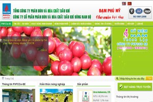 PVFCCo SE giãn tiết độ niêm yết cổ phiếu PSE