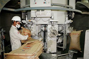 Với sự tham gia của cổ đông mới, Xi măng Thăng Long sẽ có vốn điều lệ 4.200 tỷ đồng