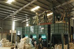 Năm 2013: VRG đặt mục tiêu 6.000 tỷ đồng lợi nhuận