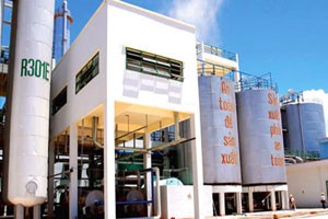 Nợ hàng trăm tỷ đồng, nhà máy cồn Ethanol bị bao vây