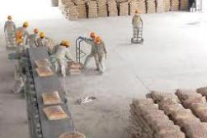 Ba vấn đề của doanh nghiệp xi măng