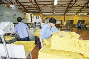 Lợi nhuận tháng 1 của DN cao su giảm mạnh 