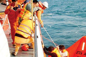 Pháp luật kinh doanh bảo hiểm: Chuyện dài kỳ