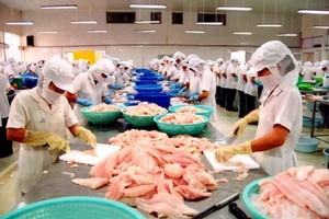 Mỹ tăng mạnh mức thuế cho DN cá tra Việt Nam