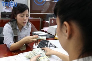 Chênh lệch lãi suất thu hẹp, tiềm ẩn rủi ro tăng tỷ giá đã tác động đến nhu cầu vay ngoại tệ