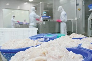 ABT đặt kế hoạch 60 tỷ đồng lợi nhuận trước thuế 