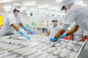 Mỹ tăng thuế với cá tra Việt Nam: Tổn thương DN lớn, cơ hội cho DN nhỏ