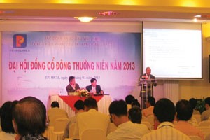 VTO dự kiến không trả cổ tức năm 2013