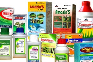 TSC cố thoát khỏi diện cảnh báo