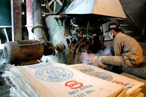 HVX: Kế hoạch lỗ trong năm 2013