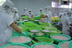 Bất thường sóng cổ phiếu CMX