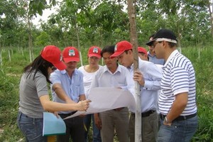 Chủ tịch Hoàng Anh Gia Lai dẫn nhà đầu tư tham quan khu trồng cao su tại Lào. Ảnh: HAGL.