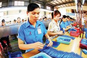 TLG: tập trung vào ngành nghề chính