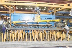 Trình Quốc hội sửa đổi Điều 170, Luật Doanh nghiệp