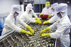 ABT: SSIAM và NDH Việt Nam đã thoái xong vốn