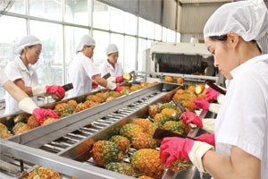 Định hình Quỹ bảo lãnh tín dụng cho DN nhỏ