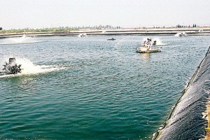 Sửa Hiến pháp trước, Luật Đất đai sau