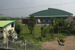 VID đặt mục tiêu lãi hơn 10 tỷ đồng năm 2013