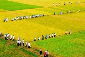 Sẽ tăng tỷ lệ vốn nhà nước tại AGPPS