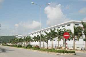 KBC: Bà Đặng Thị Hoàng Phượng không còn là Thành viên HĐQT 