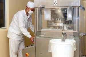 6 tháng, DHT lãi 8,5 tỷ đồng