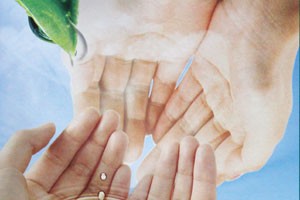 Hình ảnh trong BCTN của CTCP CNG Việt Nam