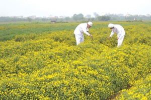 TRA và chiến lược M&A thân thiện