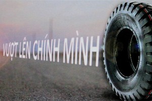 Casumina tập trung cho xuất khẩu