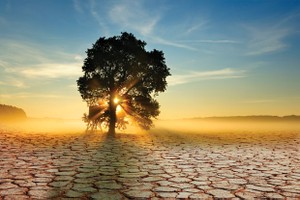 TDH sẽ điều chỉnh căn hộ lớn sang căn hộ nhỏ