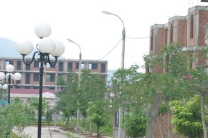 Hiện trạng DN bất động sản dưới 5.000/CP