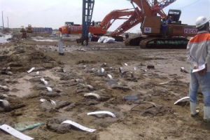 FCN trúng thầu hơn 50 tỷ tại dự án Nhiệt điện Duyên Hải 3