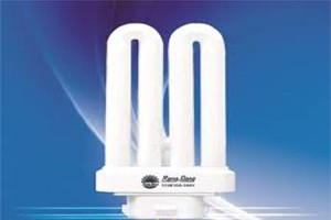 RAL trả cổ tức 15% bằng tiền mặt